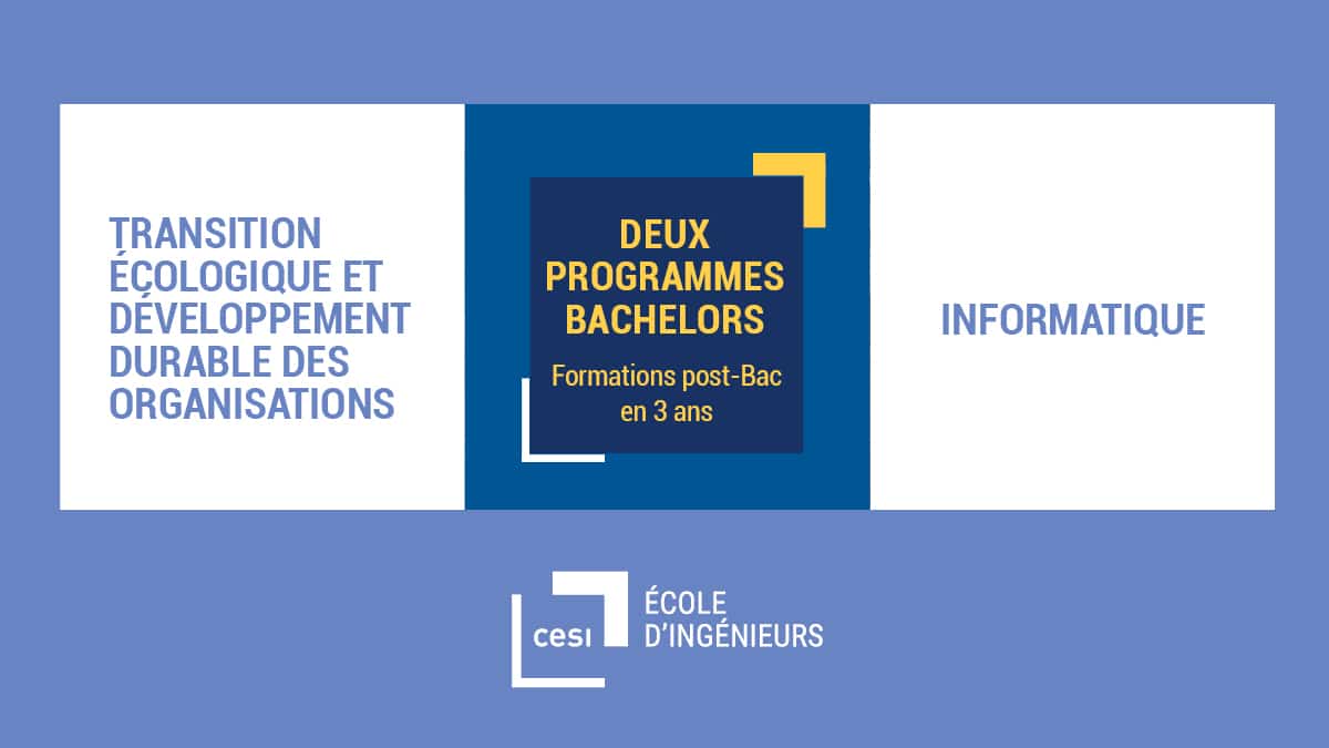 Deux programmes bachelor CESI Reims